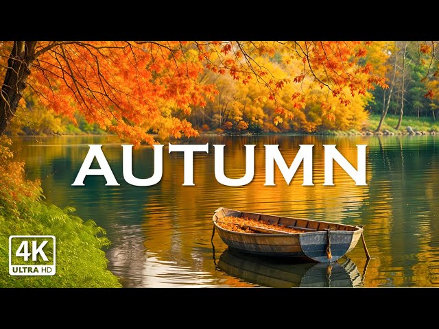 Autumn 4K • Scenic Relaxation Film with Peaceful Relaxing Music and Nature Video Ultra HD