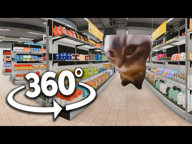 360° CHIPI CHIPI CHAPA CHAPA CAT - Supermarket  | 4K VR 360 Video