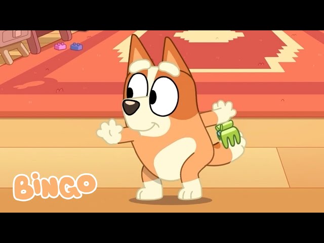 Boogie with Bingo 💃 🧡 🎶 | Dancing with Bingo and Bluey  | Bingo - Official Channel