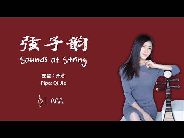 弦子韵 中国中央音乐学院琵琶教师齐洁演奏 Sounds of String / Pipa / Qi Jie