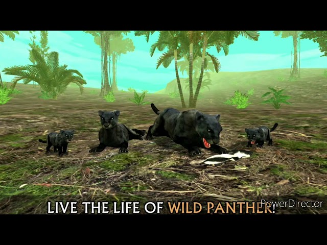 Wild Panther Sim 3D by: Turbo Rocket Games - Main Theme [Extended]