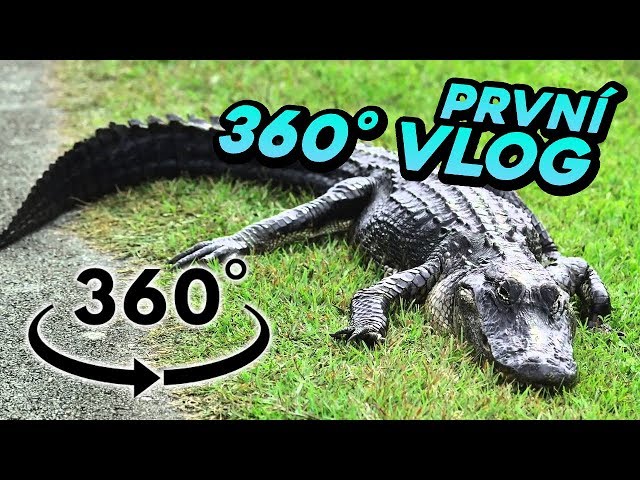 První 360° VLOG! Setkání s aligátory!!!