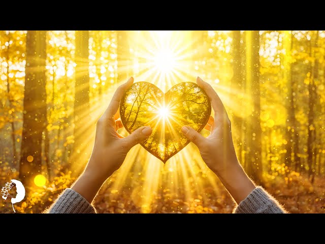 528 Hz - Connect with the person you love: A miracle of love will happen, he (she) will be with you