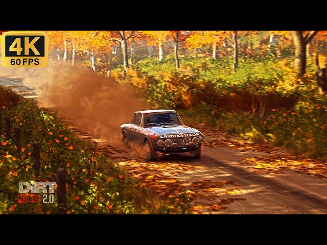 Ultra HD 4K Gaming | DiRT Rally 2.0 Gameplay