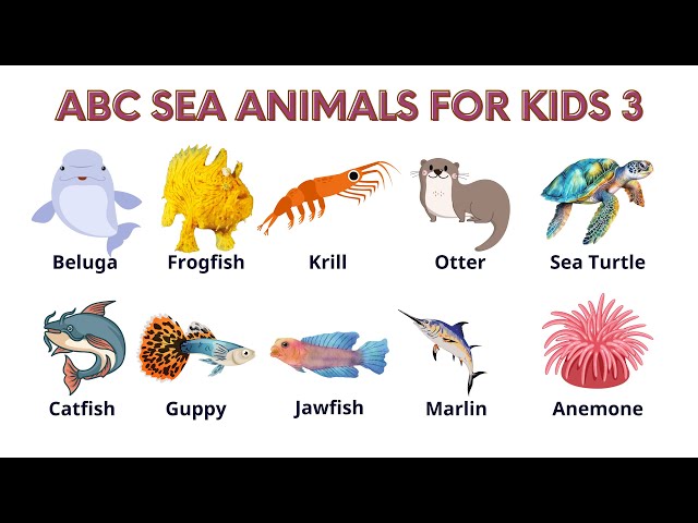 ABC Alphabet Adventure: Discover Amazing Sea Animals for Kids