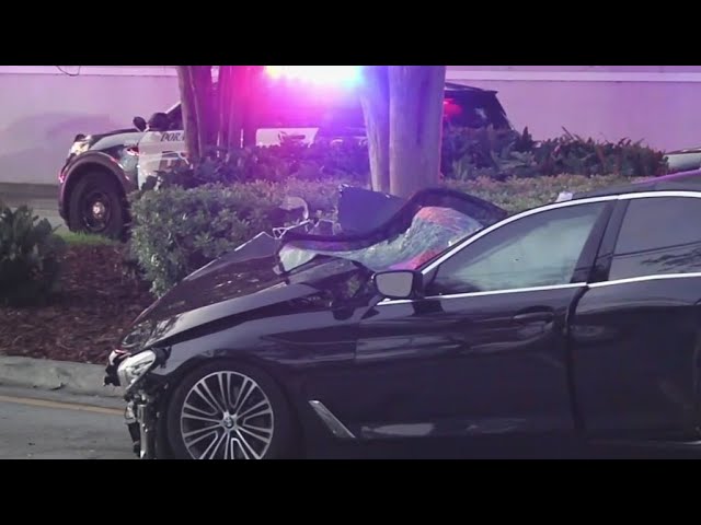 6 die in 3 separate South Florida crashes just hours apart