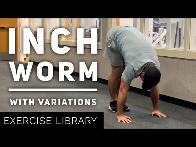 Inch Worms Exercise with Variations