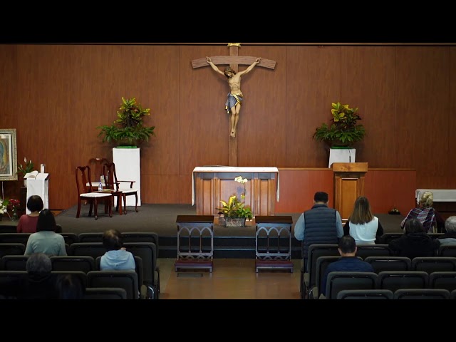 STM Livestream: 8AM Thursday Mass