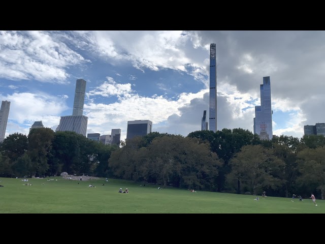 Playing Frisbee at Sheep Meadow (Central Park, New York City)