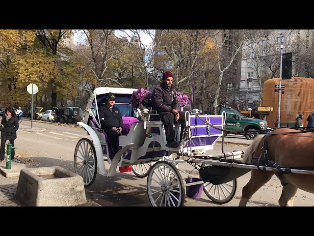 Filming in Central Park