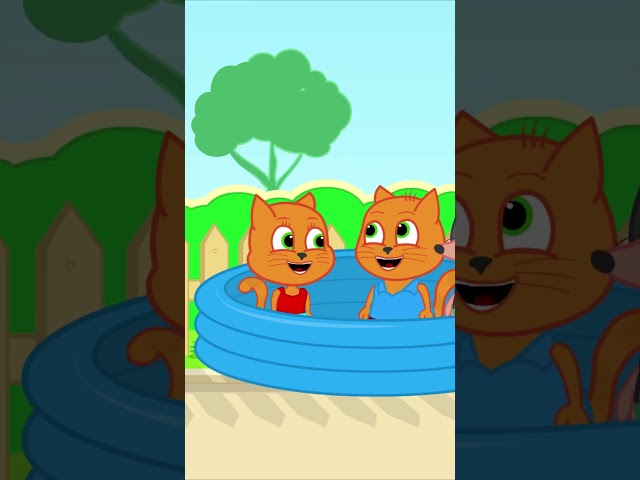 Piscina Mágica ✨✨✨ Familia de Gatos Dibujos Animados Para Niños #animados