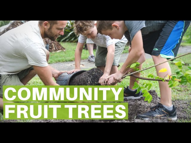 Community Fruit Trees