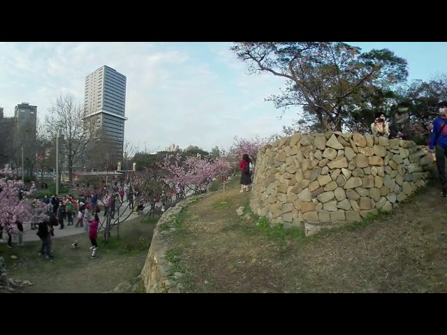 03環景360度錄影行程1️⃣1新竹市動物園公園櫻花戀每年二月我最美人山人海2十八尖山各種免費歡唱演藝健康廣場舞樂齢健管3青草湖風景區科技開心農場臉書李載榮攝全球網紅網播情境外拍自由贊助介紹回饋20％