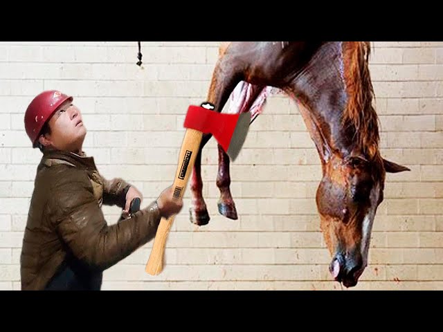 🐴HORSE WITH A BROKEN HOOF — Headed for Slaughter? Horse Hoof Restoration! #HorseCare