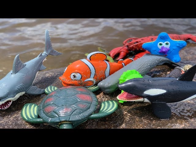 Dive into Summer Fun! 🌊 Sea Animal Toys at the River - Learn & Play