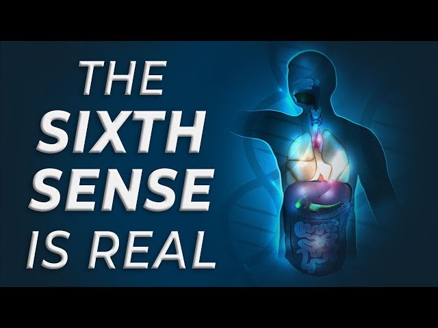 Dr. Gundry reveals: the "sixth sense" is REAL