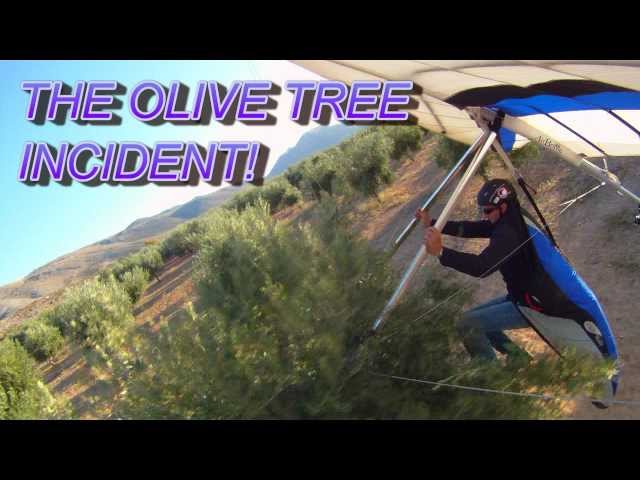 Funny hang glider crash into tree-landing fail