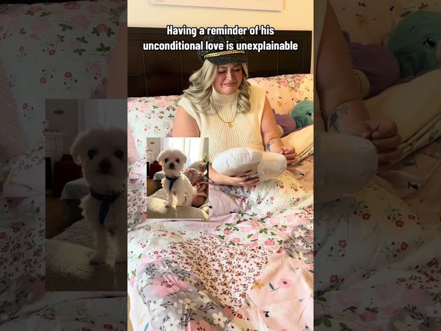 Emotional Reaction to Custom Pillow of Dog that Passed Away | MyPetsies©