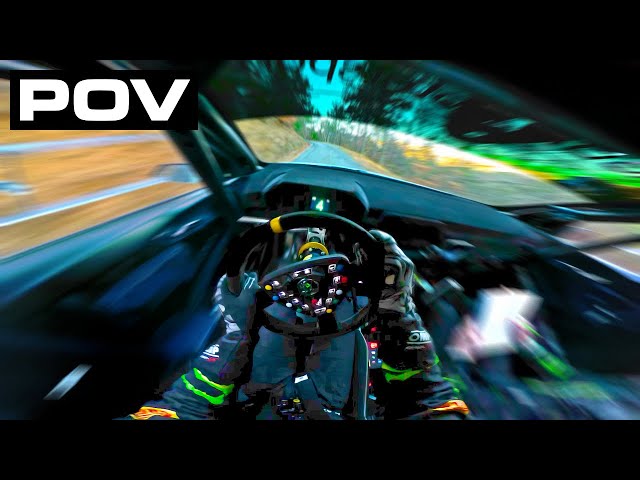 Rally Monte-Carlo 2024 | Helmet POV Oliver Solberg Day & Night