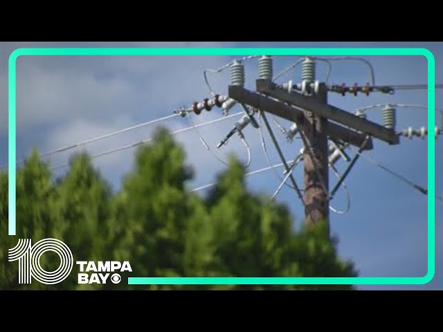 Utility Scam Awareness Day: Why after major storms, Tampa Bay is especially vulnerable