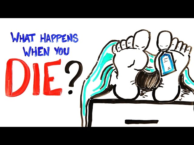 What Happens When You Die?