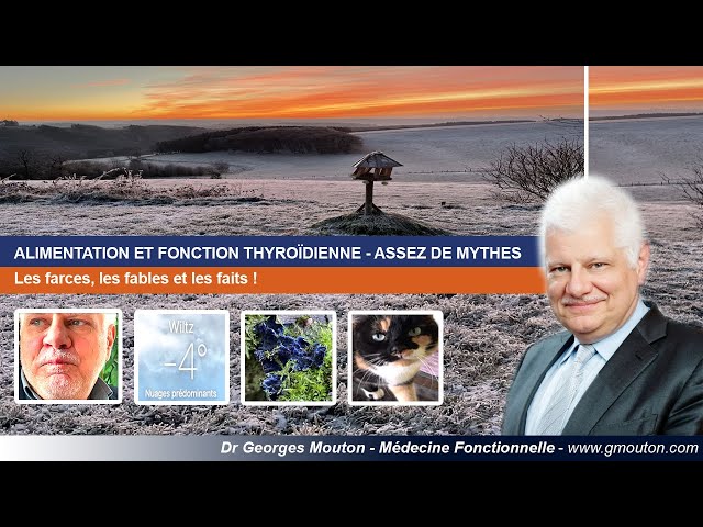 ALIMENTATION ET FONCTION THYROÏDIENNE - ASSEZ DE MYTHES