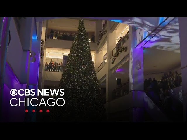 Make-A-Wish child helps light Chicago's tallest Christmas tree