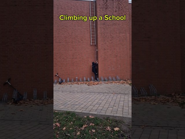 Climbing up a School