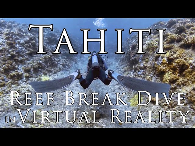 Tahiti in VR - Reef Break Dive in Raiatea ~ Virtual Reality 5.7k 360º