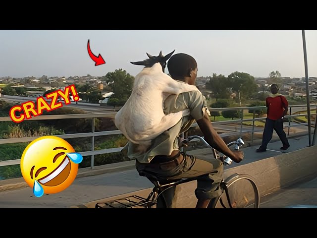 CRAZY Shocking and Funny Moments You’ll Only See in Africa! 😂 #Viral #MustWatch (Part 5)