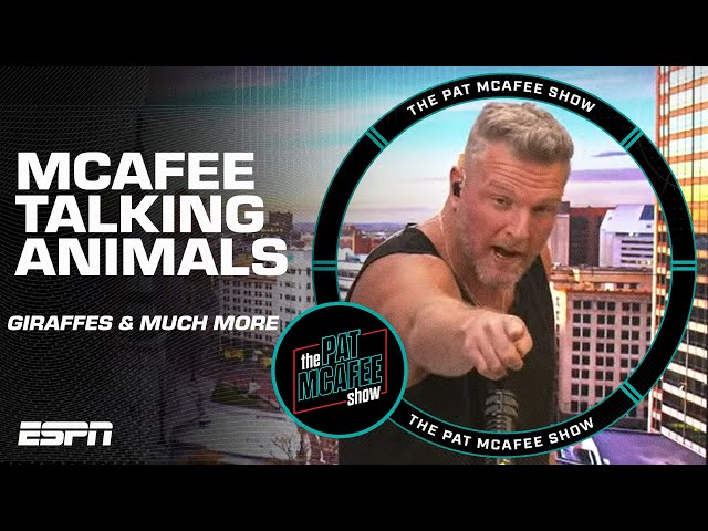 Talking Giraffes 🦒 Elephants 🐘 Hippos 🦛 & Rhinos 🦏 on The Pat McAfee Show 😅