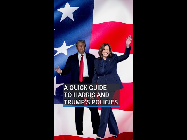 What are Kamala Harris and Donald Trump’s policies?