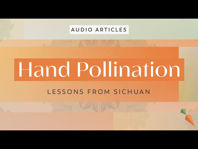 Hand Pollination: Lessons From Sichuan | FoodUnfolded AudioArticle