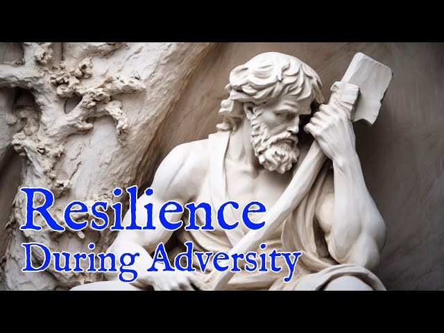 Resilience in the Face of Adversity - The Axe-Scarred Tree Stands Tall | Virtual Reality / VR180