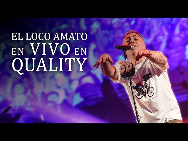 El Loco Amato - Quality Arena 2023