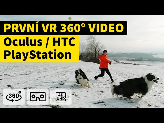 | 4K | 360 ° VR - The first test VR video for the Oculus Quest  PlayStation HTC - Border Collie trip