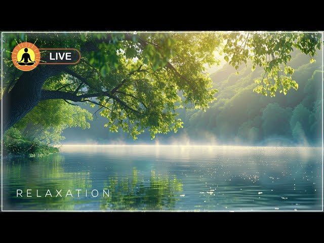 🔴 Nature Sounds Relaxing Music 24/7, Zen Meditation Music, Healing Music, Positive Energy, Birds