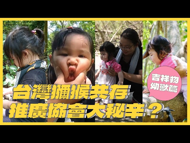 台灣獼猴共存推廣協會大秘辛？吉祥物幼獸篇