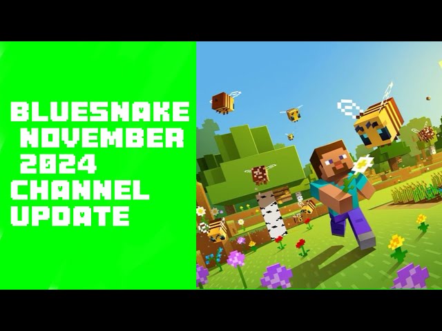 BlueSnake November 2024 Update