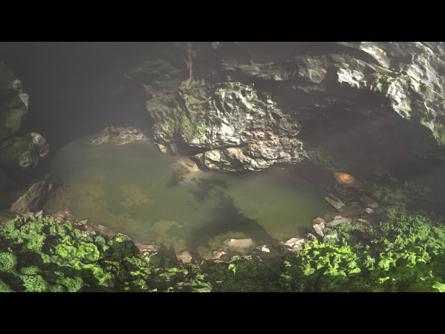 Devilstep Hollow Cave in the Sequatchie Valley of Tennessee