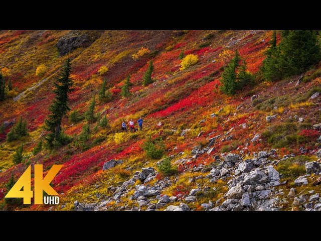 Breathtaking Fall Foliage: Best 4K Autumn Nature Scenes Worldwide with Calming Music