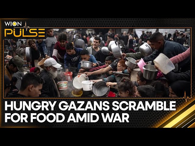 Gaza Food Crisis: Soaring Food Prices Deepen Gazans' Plight | WION Pulse | World News