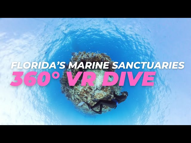 🌊 Discover the Beauty of Florida’s Marine Sanctuaries in 360° VR 🌊