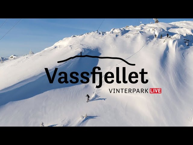 Vassfjellet LIVE