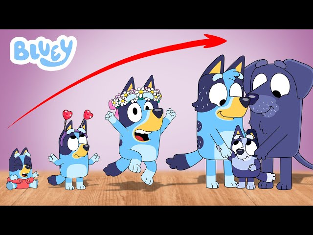 Bluey Heeler Growing Up 2024 Compilation Full |  GO WOW