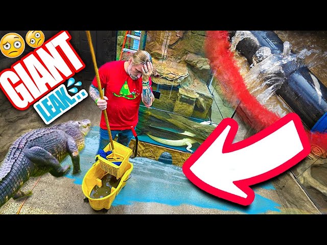 TRAGEDY!! ALLIGATOR POND LEAKING AGAIN!! | BRIAN BARCZYK