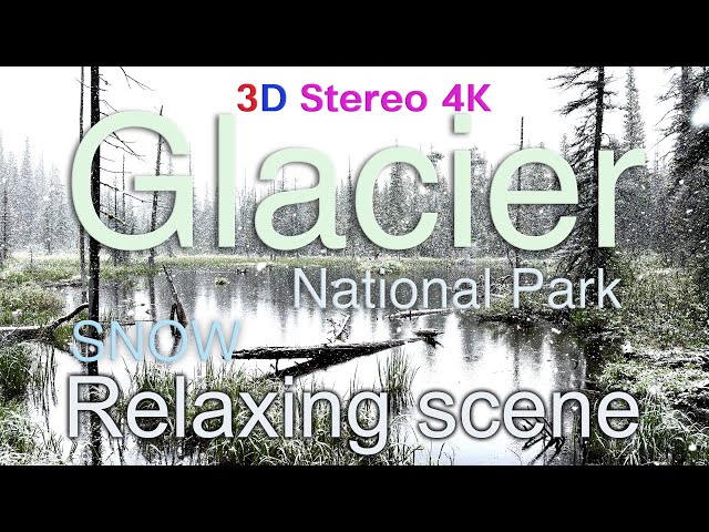 Glacier National Park Relaxing Trail. 3D Stereo ASMR(Snowing).Please set 4K(2160) 눈이 내리는 산속풍경들