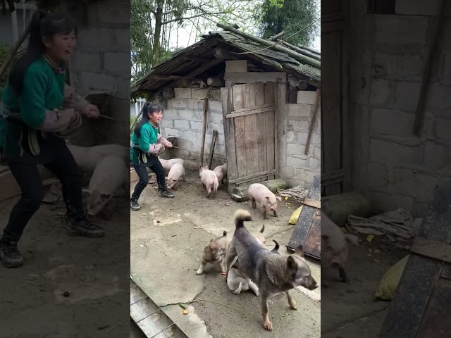 Rural Life in China