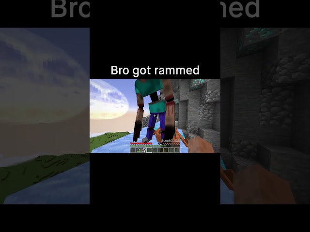 Minecraft Meme