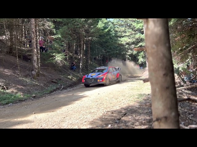 CRAZY  WRC I20N OTT TANAK EKO RALLY ACROPOLIS TARZAN GREECE